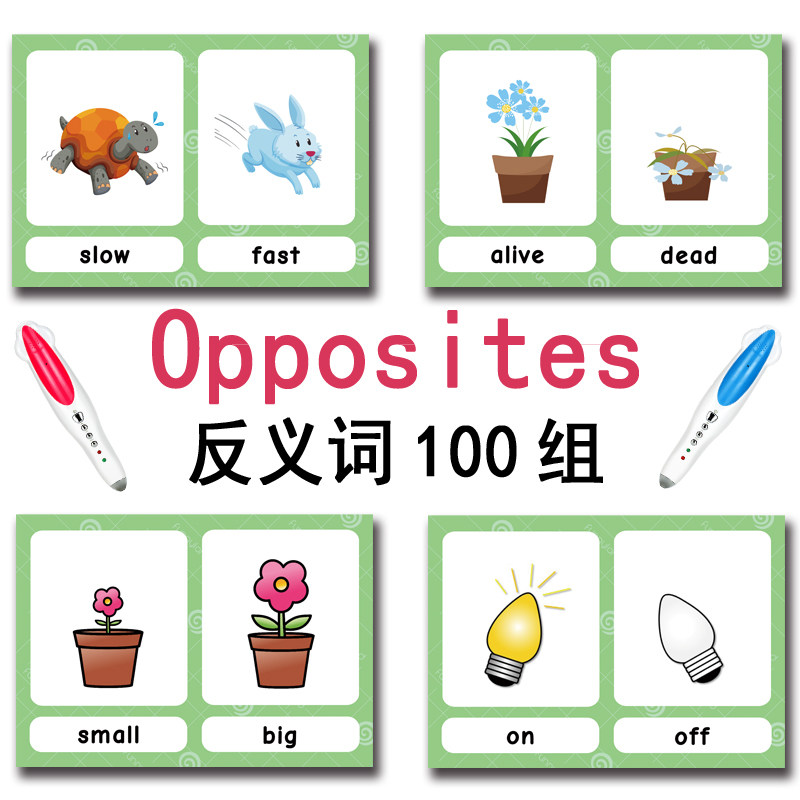 Die 100 Gruppen Gegensätze Ler – Kids Educational Device Bewertung und Preis
