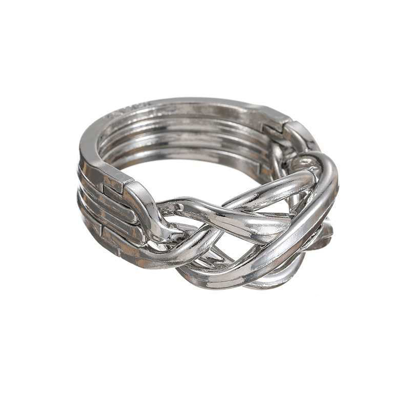 Magisches Ring-Puzzle, Entwirr – Brain Teaser Cube Bewertung und Preis
