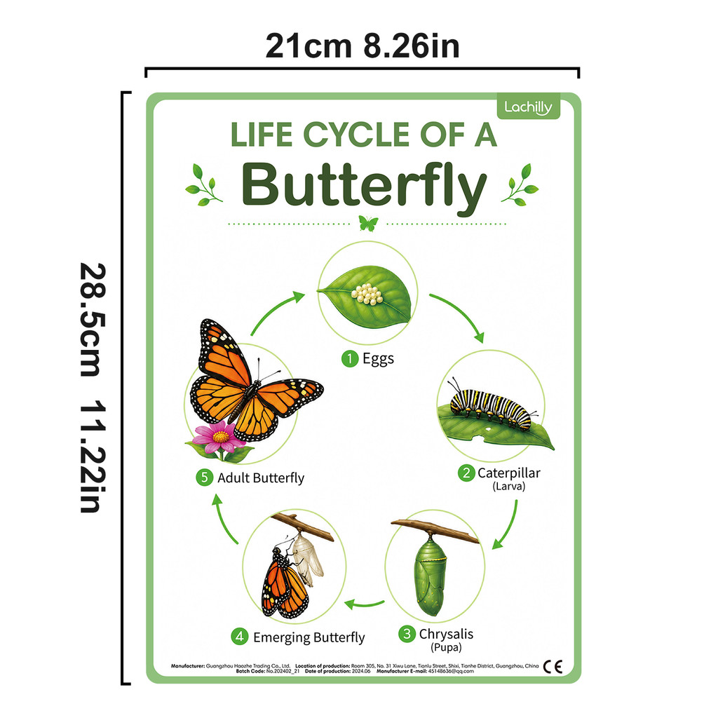 8-teiliges Set Lehrreicher Nat – Kids Educational Posters Bewertung und Preis