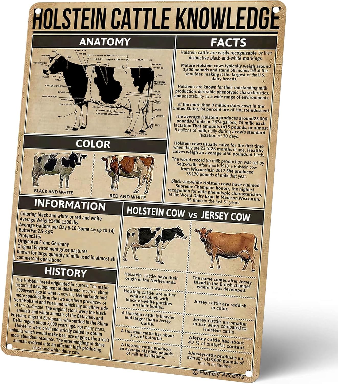 Homely Accents Holstein Cattle – Kids Educational Posters Bewertung und Preis