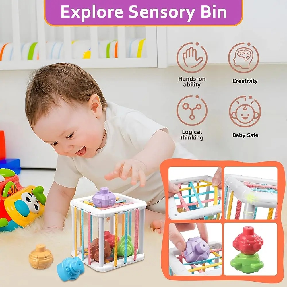 Regenbogenfarbiger Montessori- – Kids Educational Device Bewertung und Preis