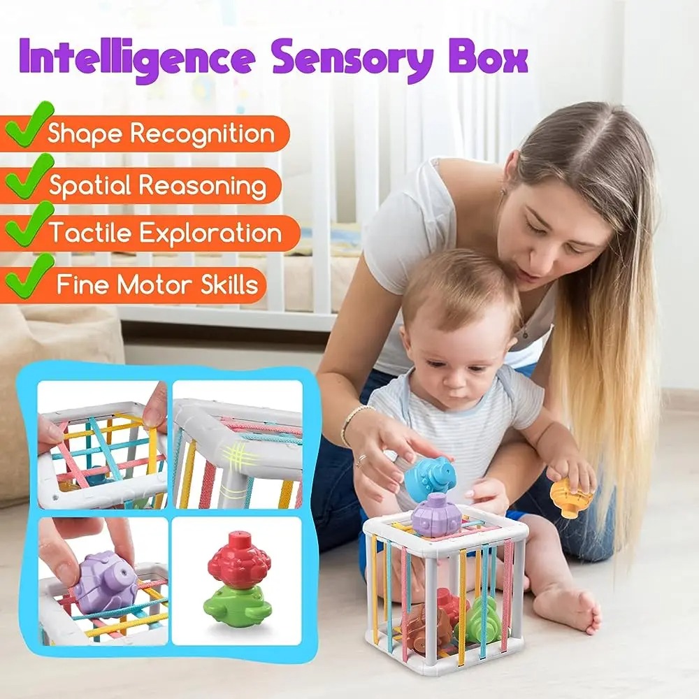 Regenbogenfarbiger Montessori- – Kids Educational Device Bewertung und Preis